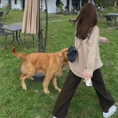 英雄联盟:双城之战第一季