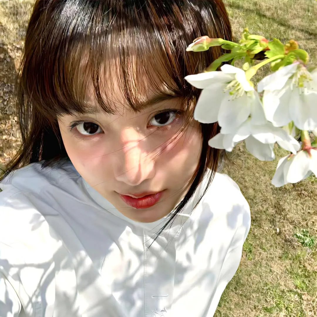 蜡笔小新第二季